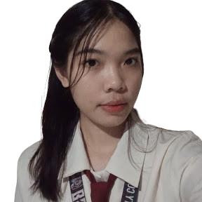 System Analyst Profile